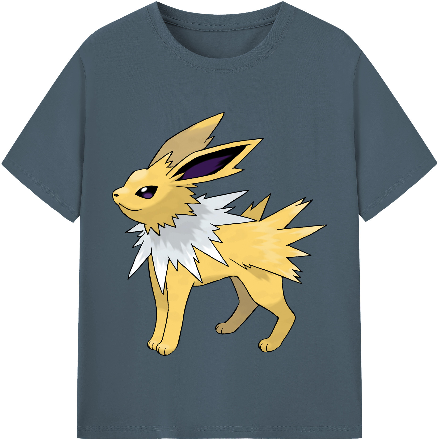 （画像用） ポケットモンスター Pokémon 綿100％半袖Tシャツ（フロントプリント）